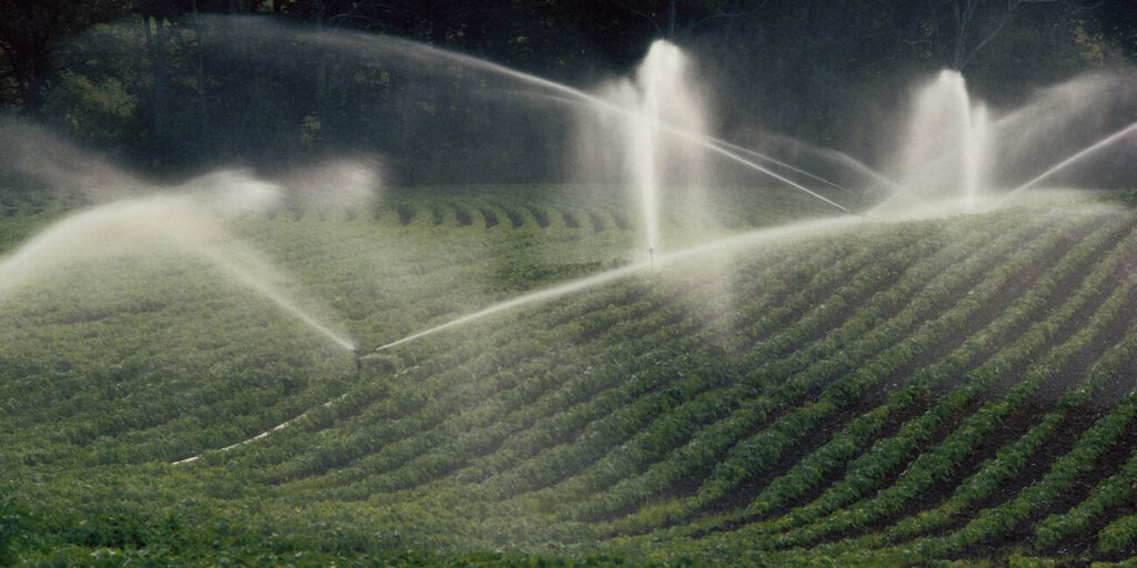 Trichloroisocyanuric Acid Uses in Agriculture Water Treatment