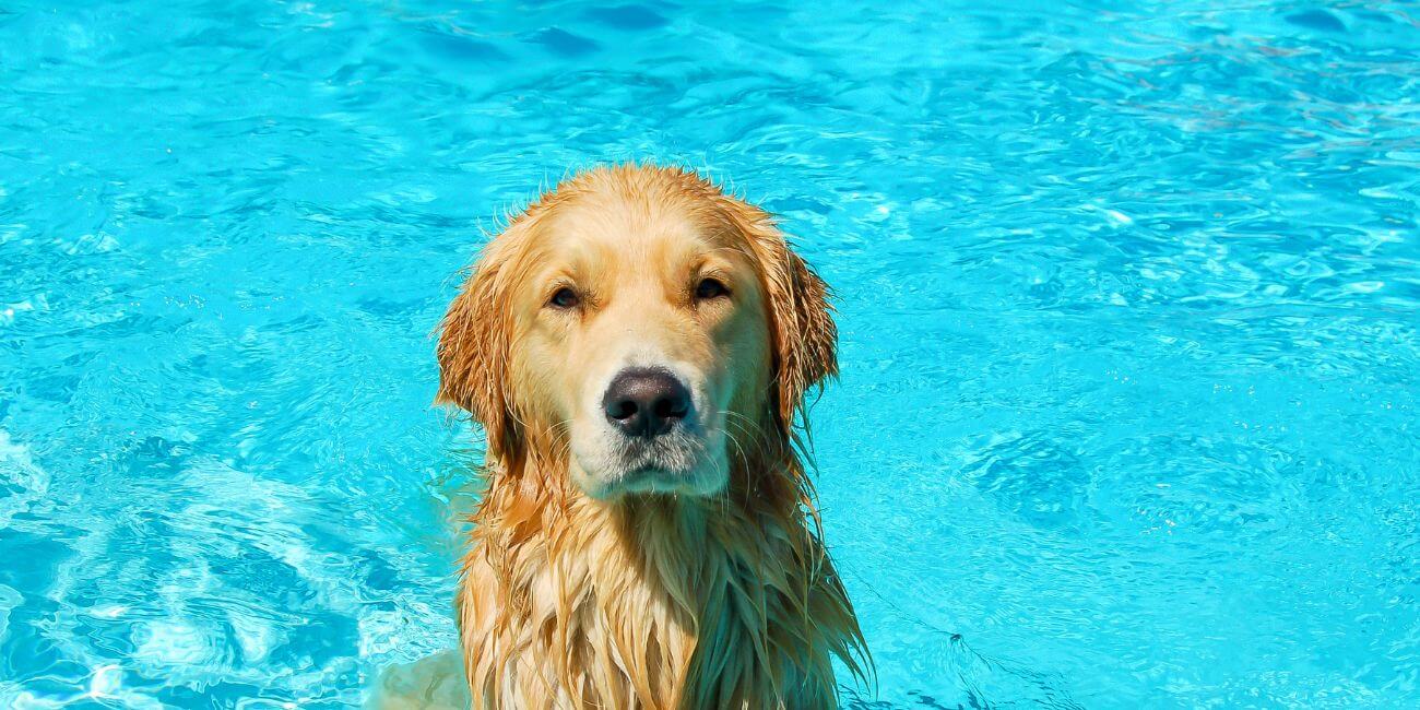 How A Pool Can Go Without Chlorine